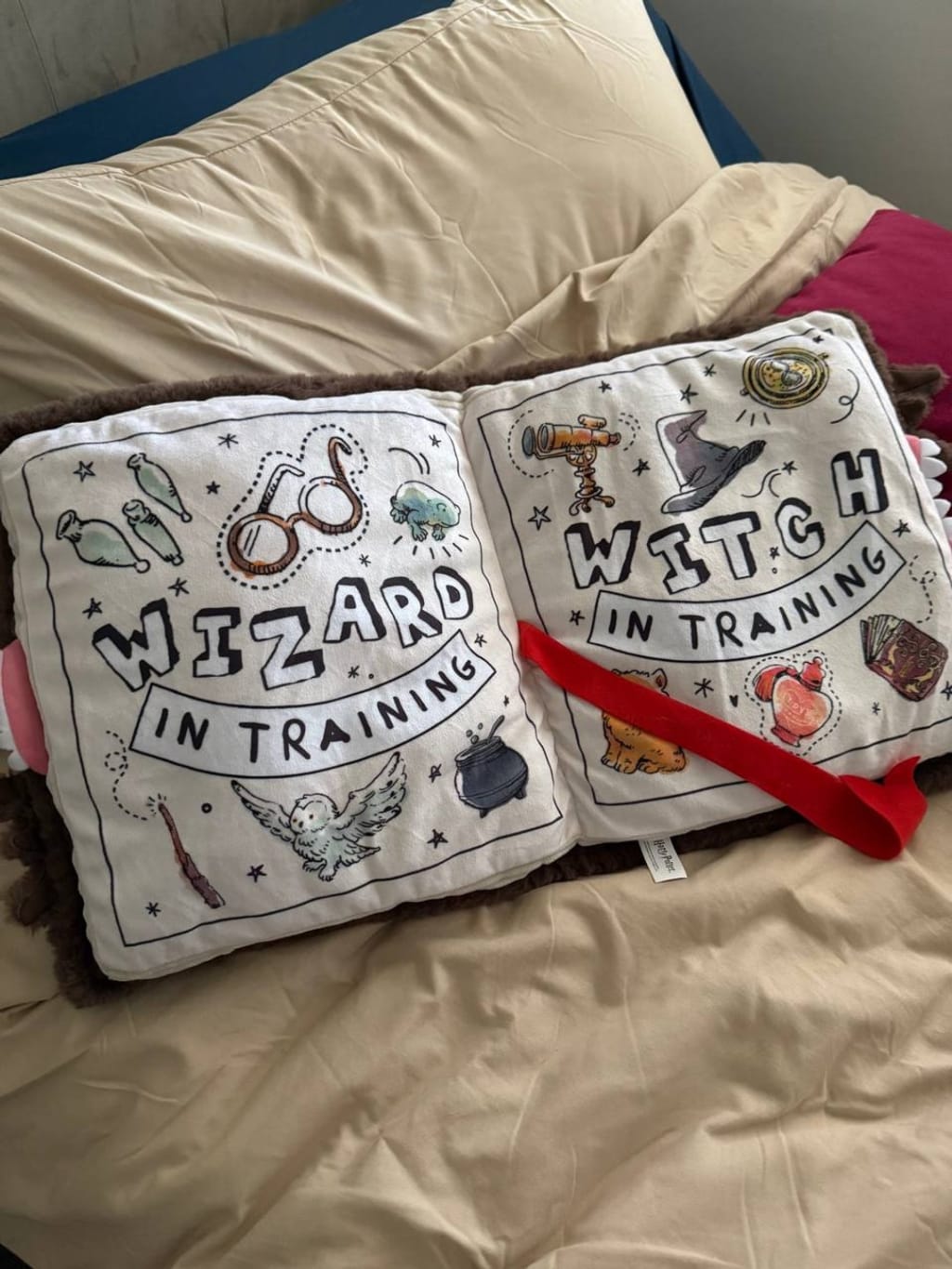 Magic Book Pillow with its embroidered cover in view